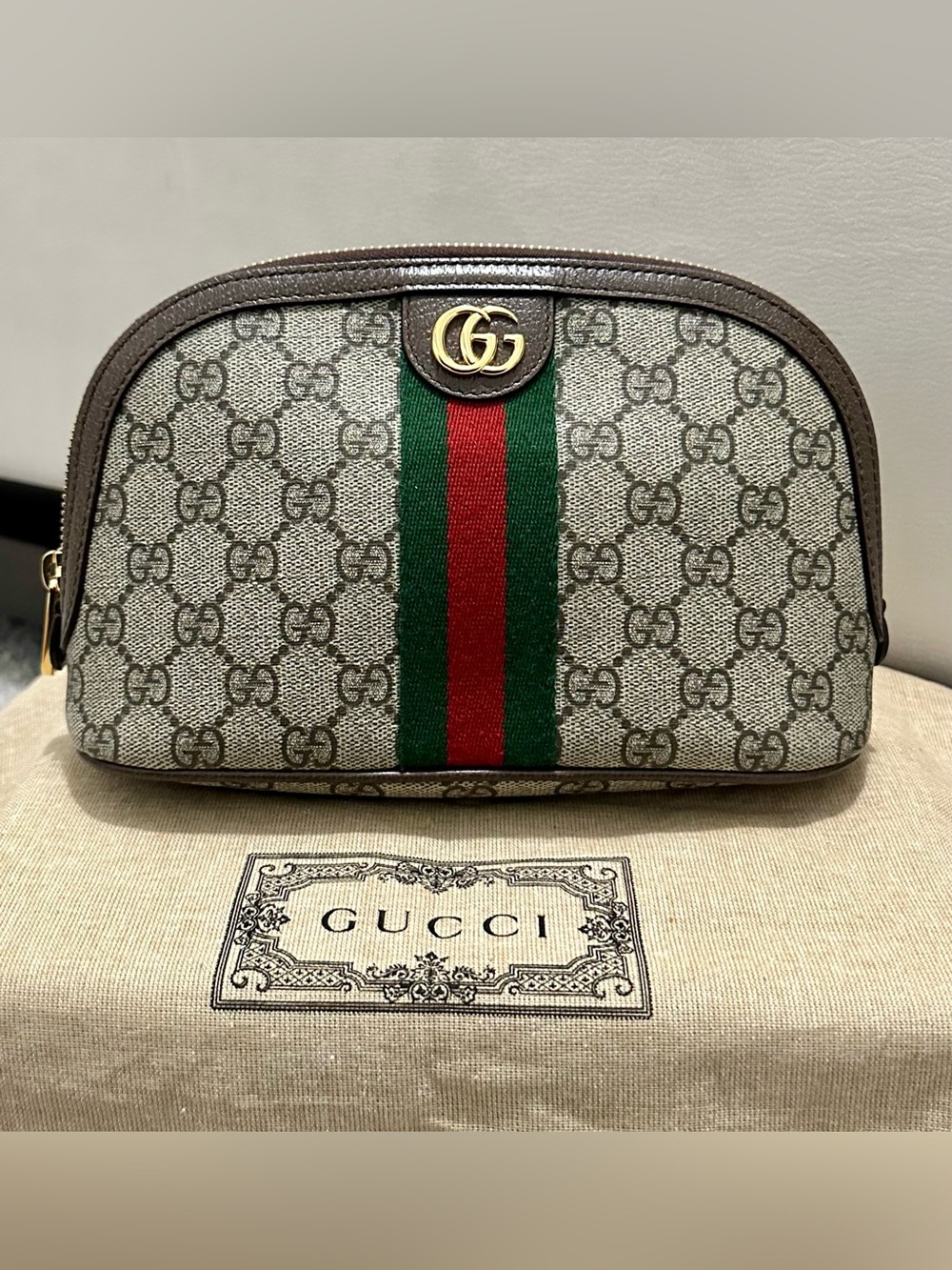 GUCCI Ophidia Large Makeup Pouch